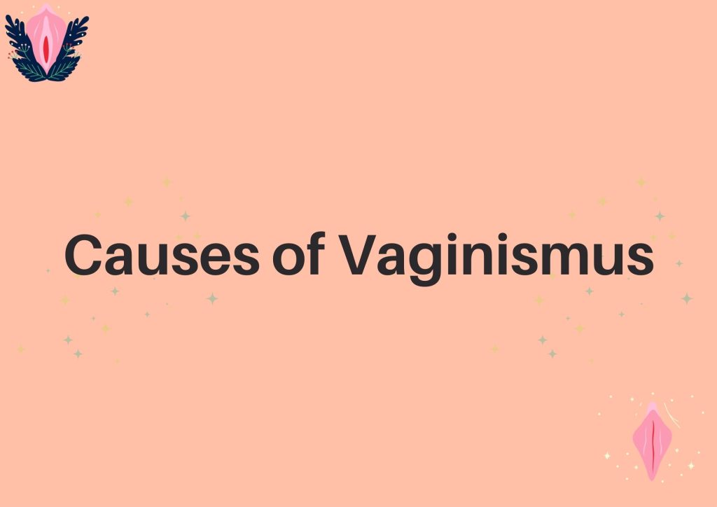 Brown background with "Causes of Vaginismus" in a blog post about "All you need to know about Vaginismus."